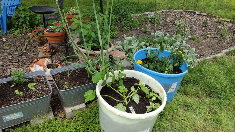 mineral tub planters in garden