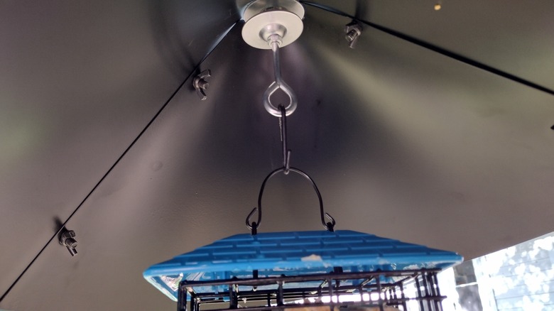 baffle with suet cake feeder