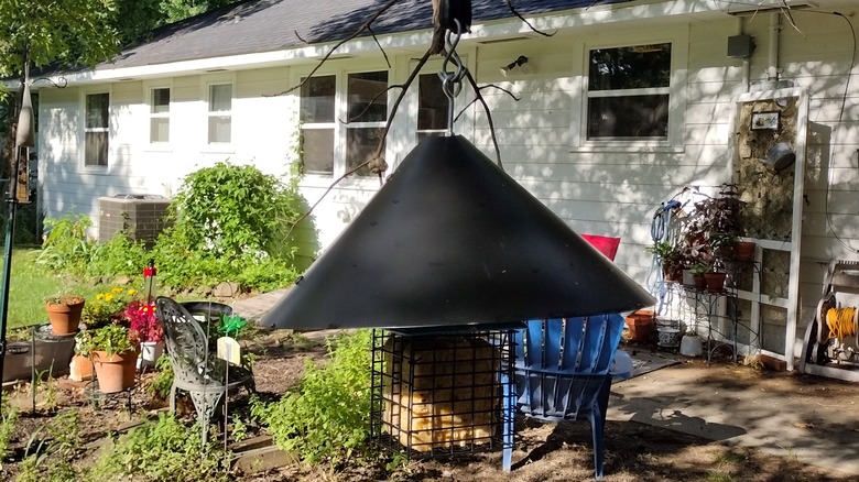 suet cake feeder with baffle