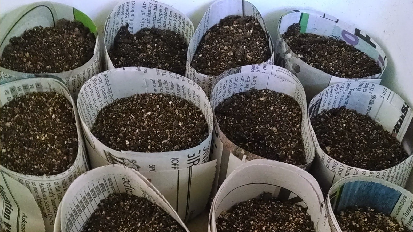 We Tried Using Newspaper Pots For Starting Seeds And Are Impressed By