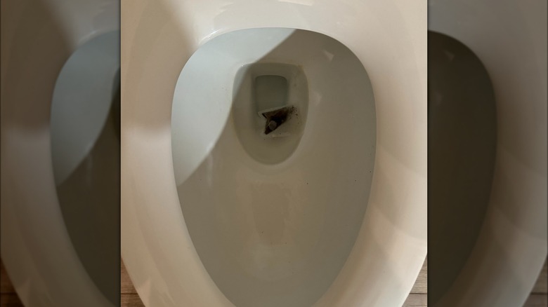 Tea bag in toilet bowl