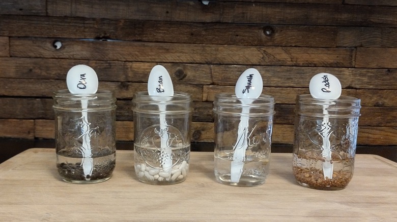seeds soaking in vinegar water