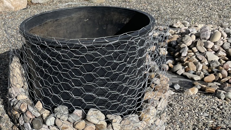 An old nursery pot inside a gabion basket that's part way filled with rocks