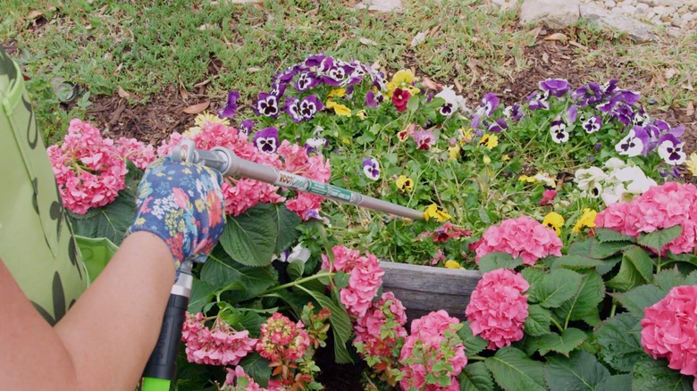 Watering flowers with Root Genie