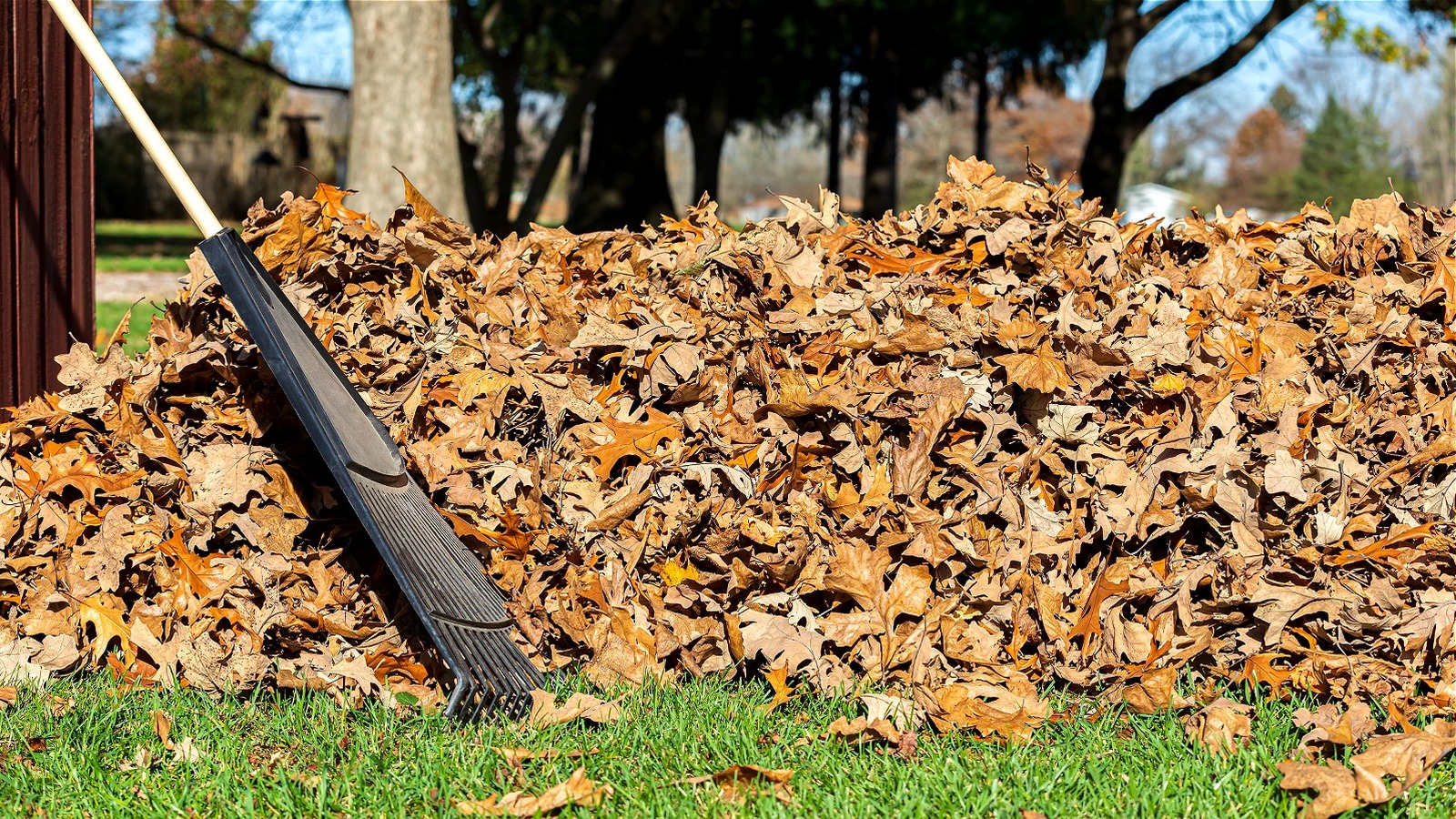 What A No-Clog Rake Can Do For Your Yard This Fall