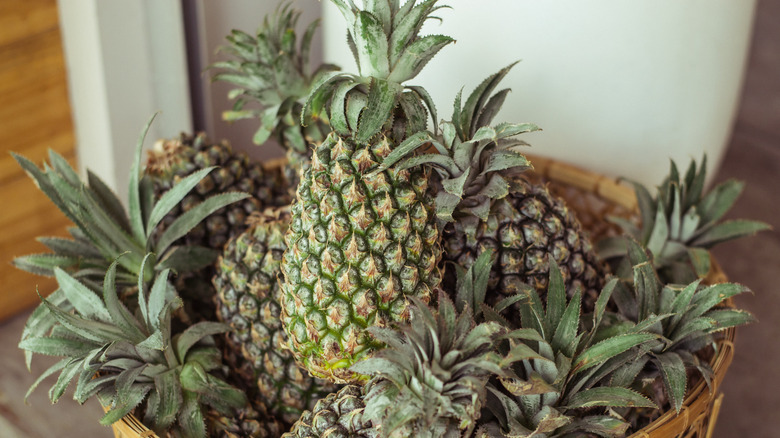 A basket full of pineapples on a porch.