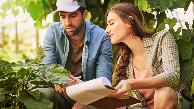 Two gardeners reference their notes while inspecting their garden.