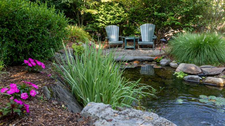 Ornamental grass around water feature