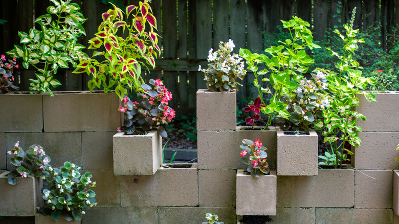 A garden wall made with reclaimed cinder blocks