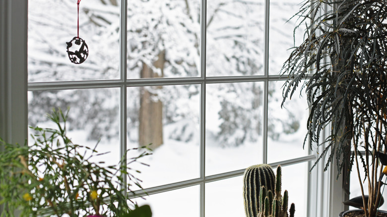 Window with winter scene