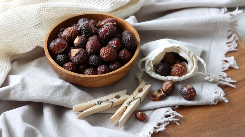 soap nuts for laundry