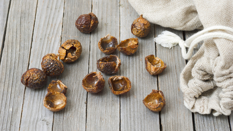 soap nut shells