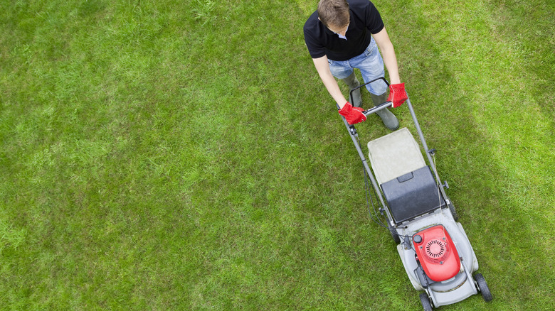 Man cutting grass