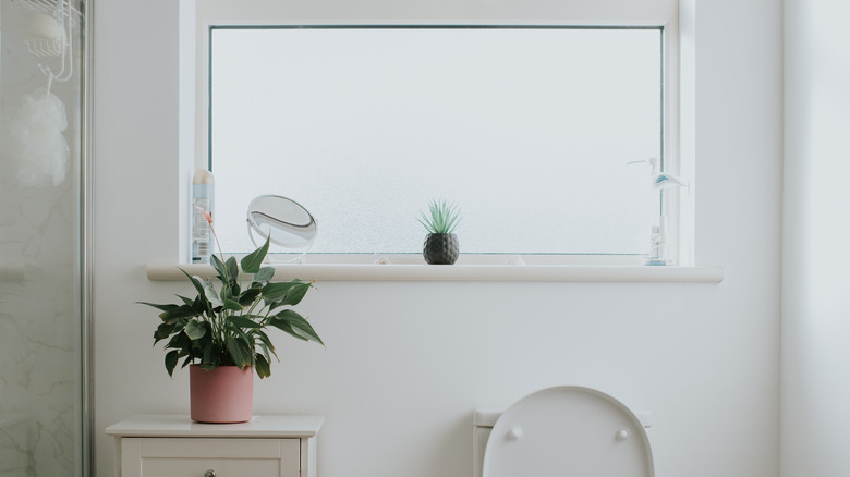Privacy window in bathroom