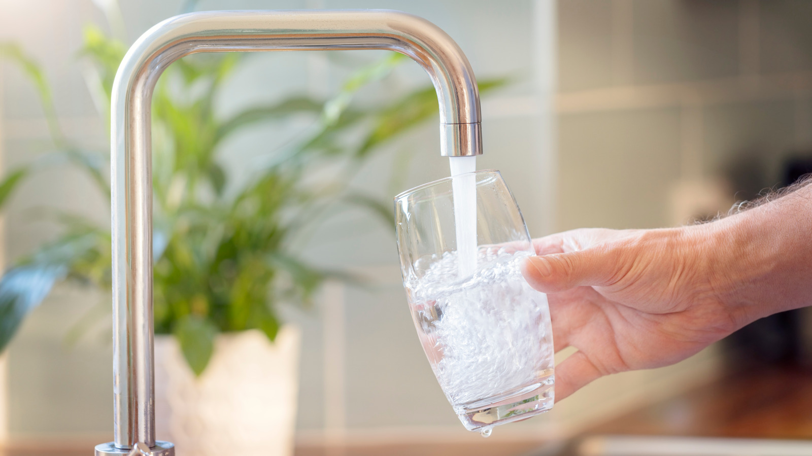 What Are The Differences Between Water Softeners And Conditioners?