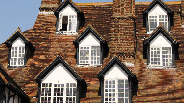 Roof with many dormer windows