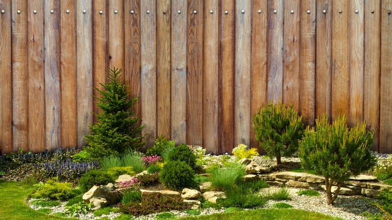 Wooden fence behind garden