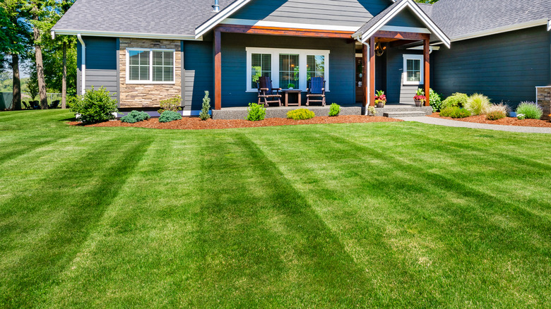 green lawn with background house