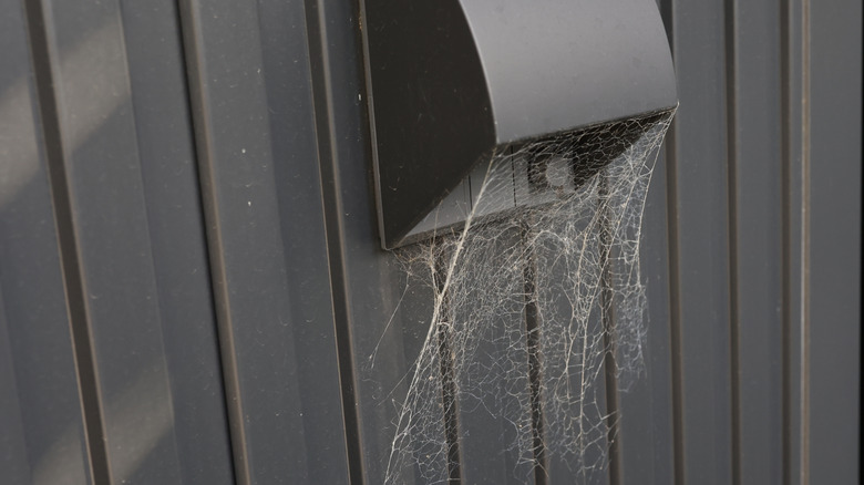 A spider web over an air outlet