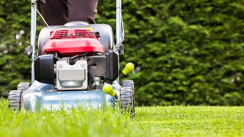 Close-up of a lawn mower cutting higher grass down to about an inch