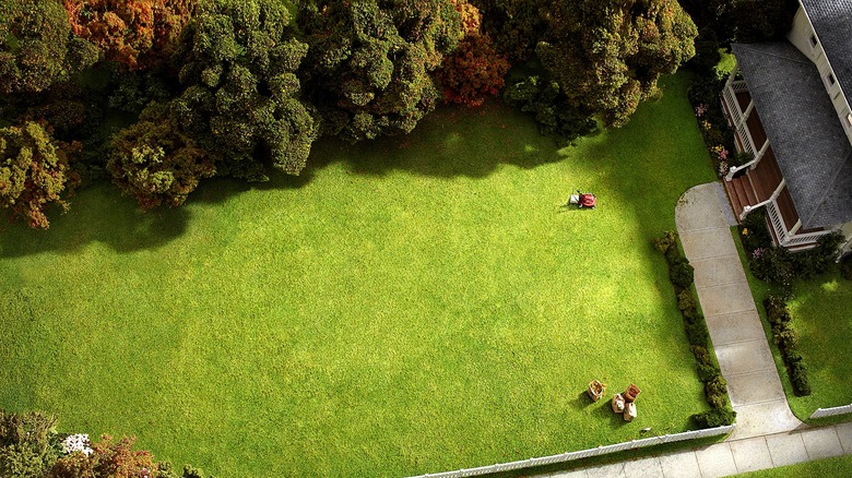 Aerial view of a backyard lawn lined with trees changing autumn color