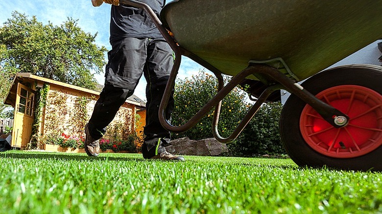 Close-up of a person pushing a wheelbarrow over lawn