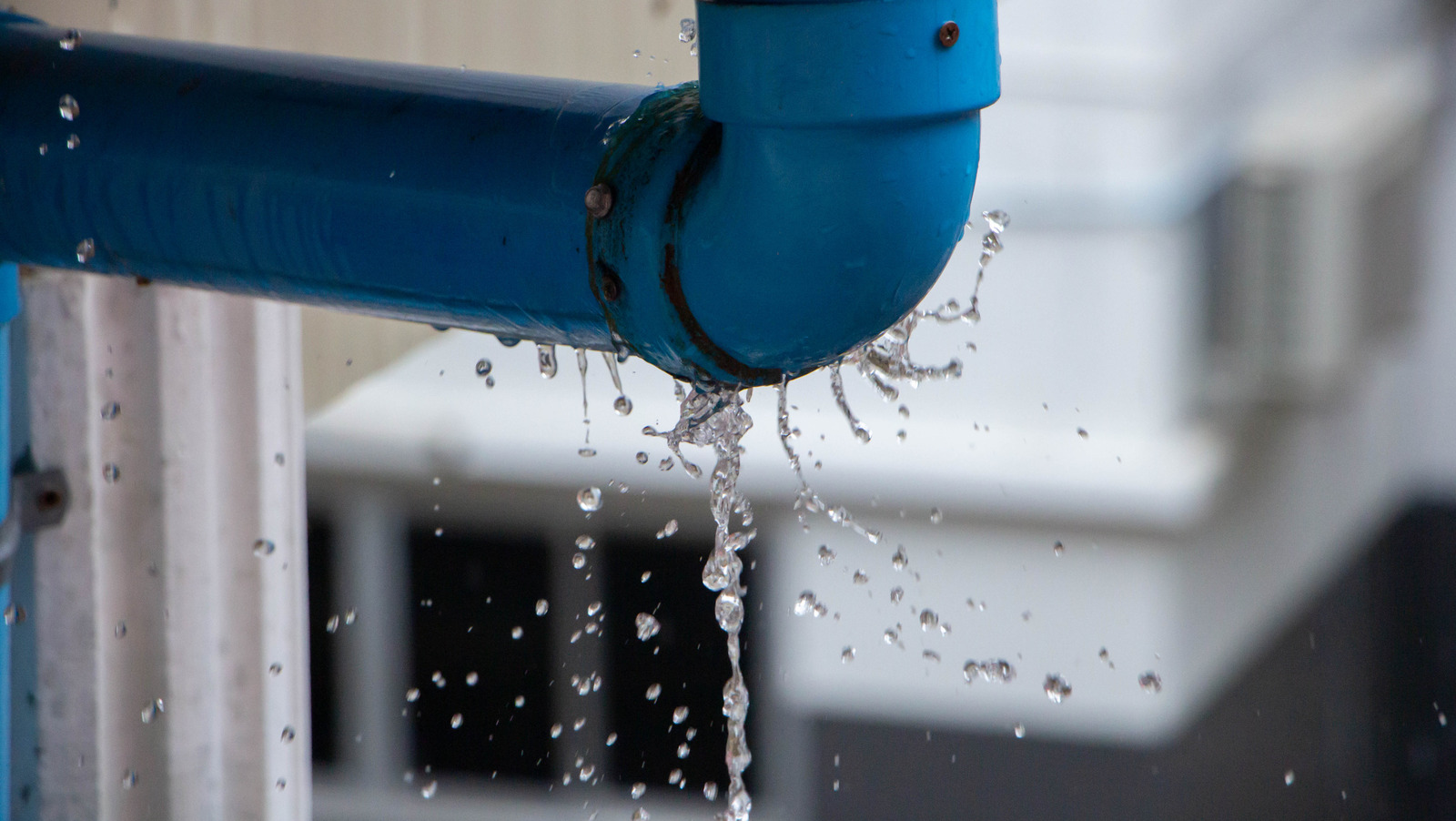 What Caused Your Pipe To Burst And How Can You Prevent It In The Future?