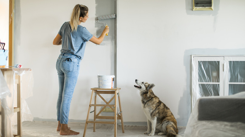 Woman painting light wall gray