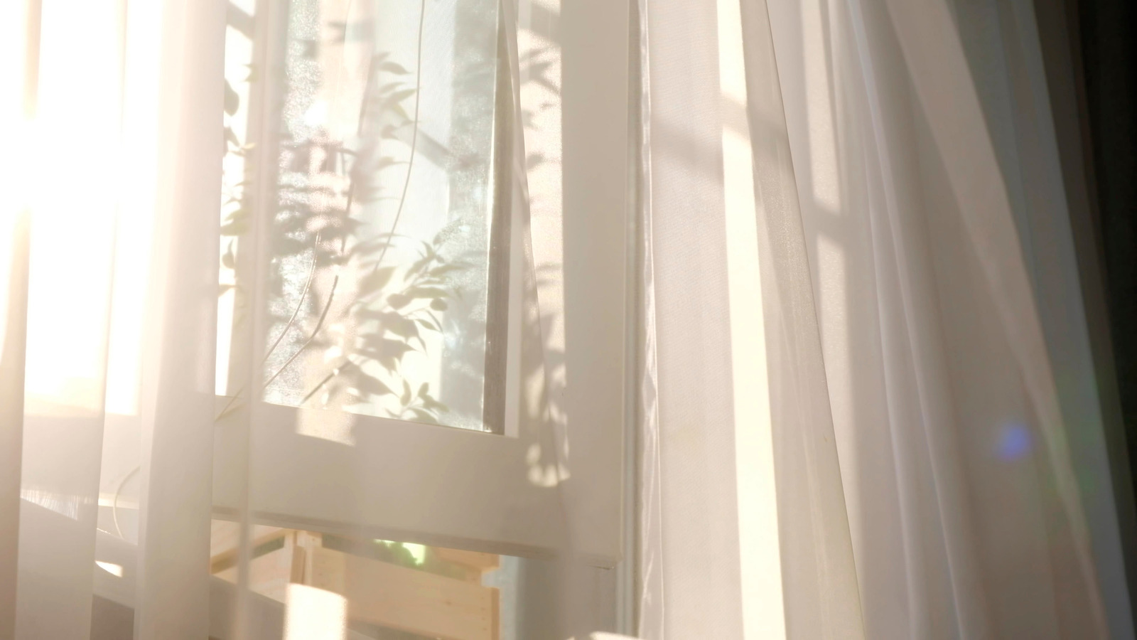 What Could Be Wrong If Your Windows Won't Open