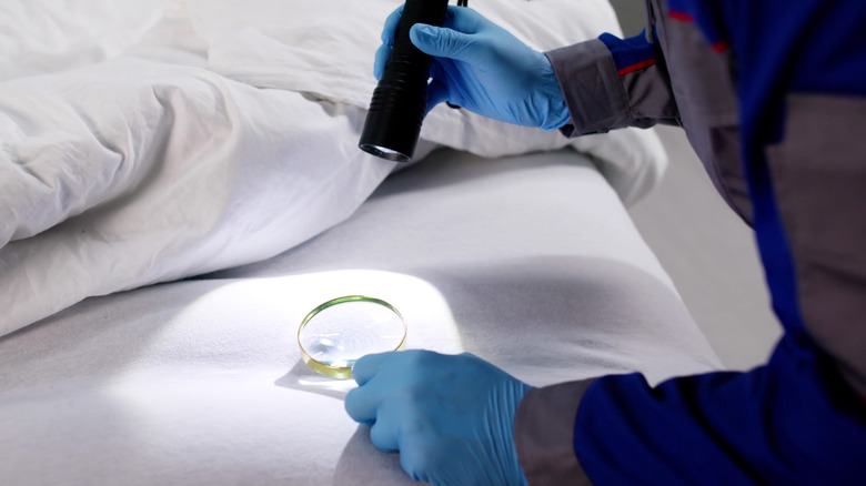 A person inspecting a bed with a flashlight and a magnifying glass