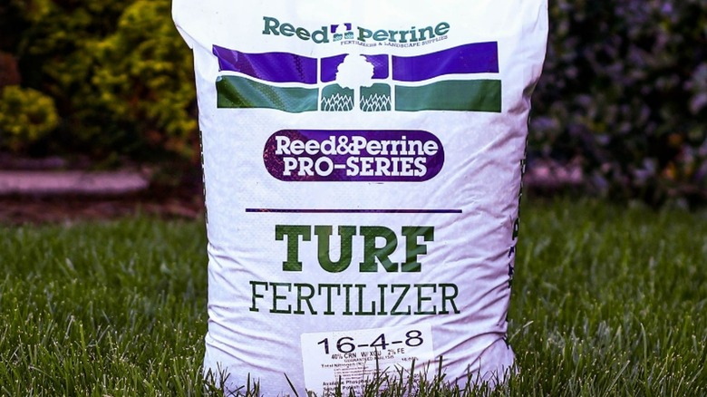 Bag of turf ferilizer