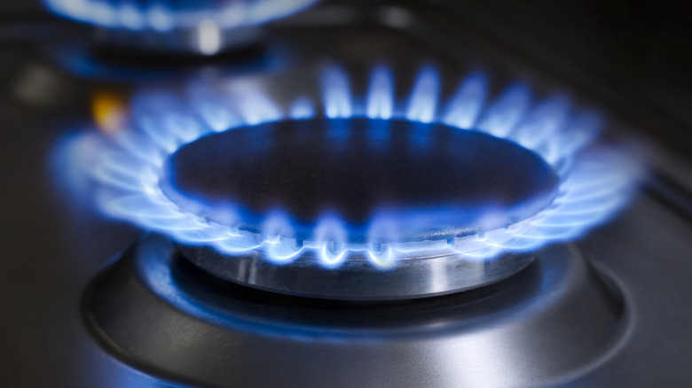 Closeup of blue flames on a stovetop