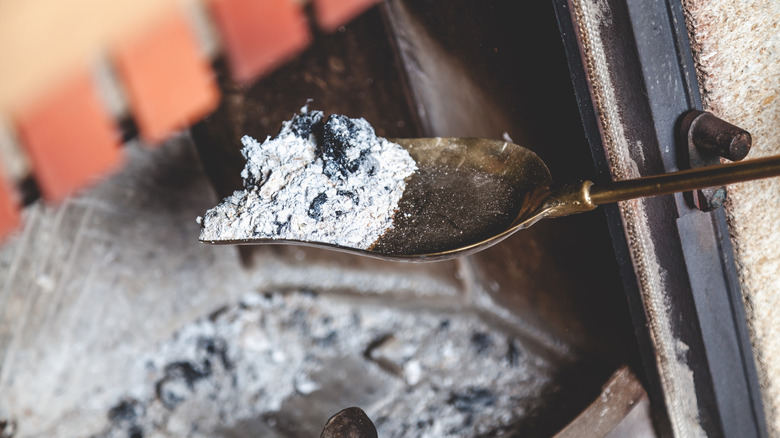 A scoop of wood fireplace ash