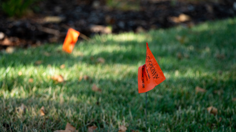 Little orange utility flags in someone's front yard.
