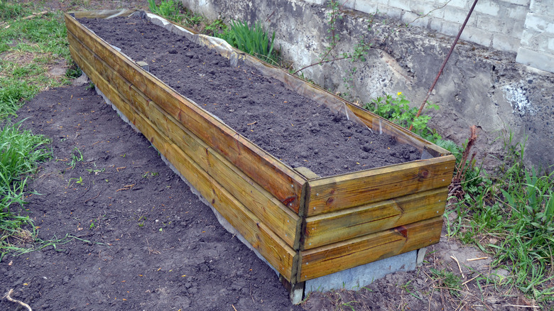 Pressure-treated wood for a raised garden box
