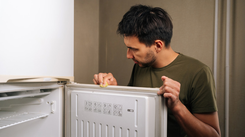 man checking refrigerator seal