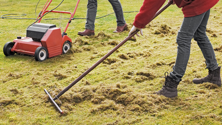 Person raking and dethatching