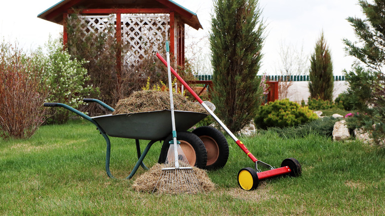 Dethatched grass and mower