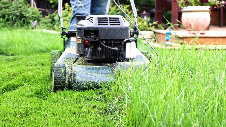 person mowing backyard lawn