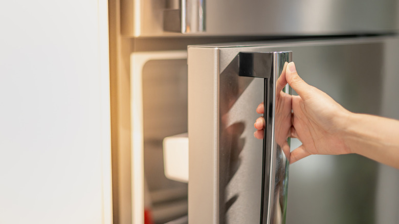 Hand opening refrigerator door
