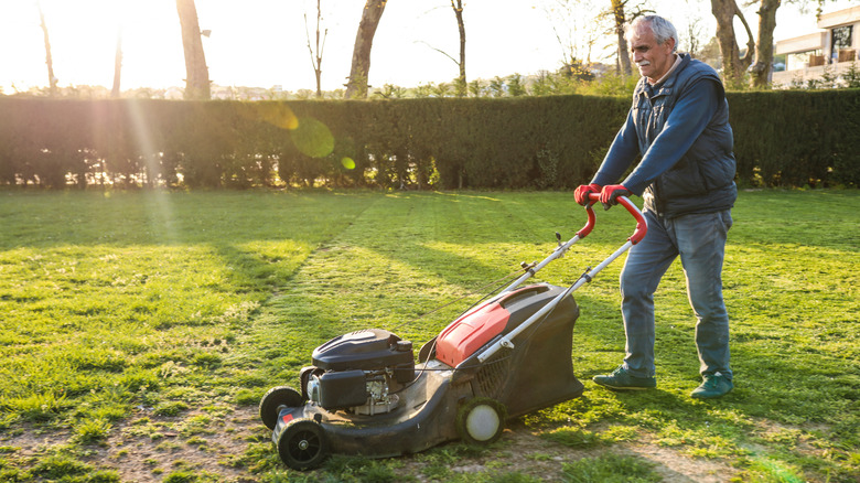 Senior man mowing the lawn