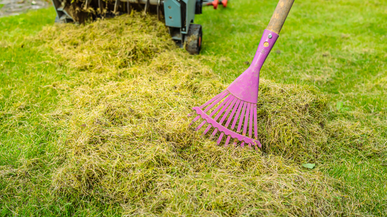 Detail of a rake and leftover grass clippings