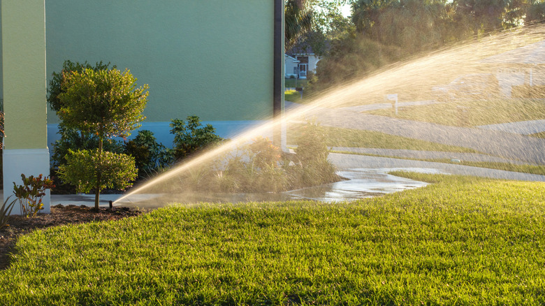 Automatic irrigation system with water sprinkler for maintaining grass lawn