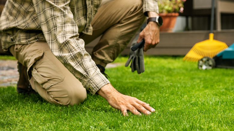 Person touching grass in front of house