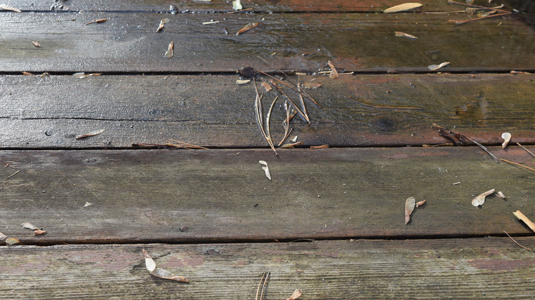 Closeup of wet, worn wood boards on a deck