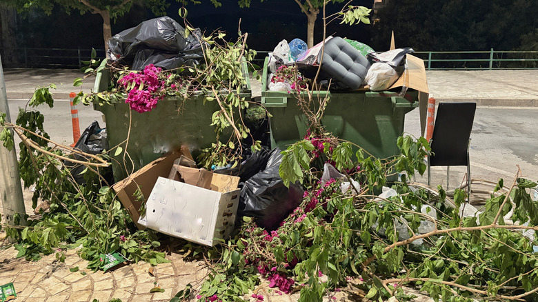Plants and other waste spilling out of a dumpster at night