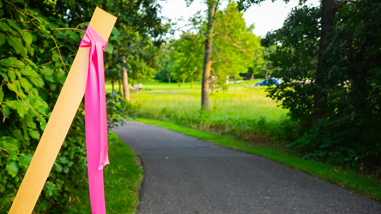 Pink ribbon on wooden marker near tree