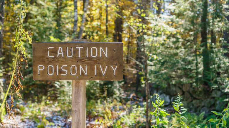 warning poison ivy sign