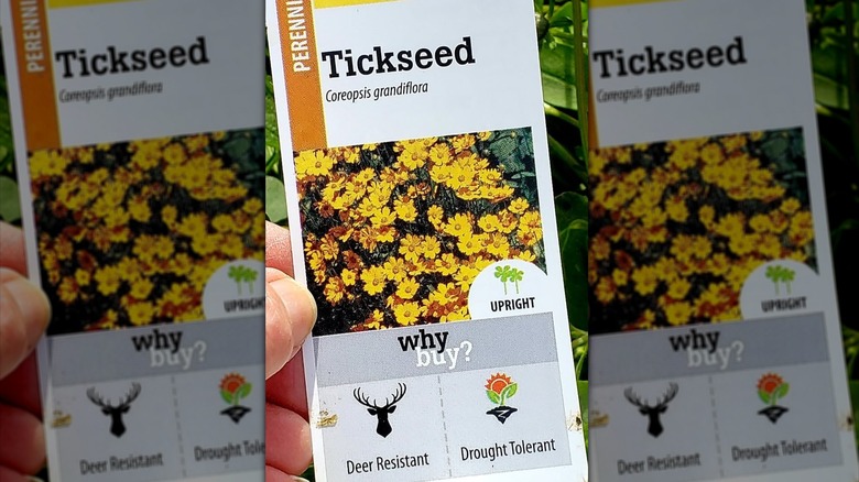 A plant tag for Tickseed with a deer resistant label on the bottom