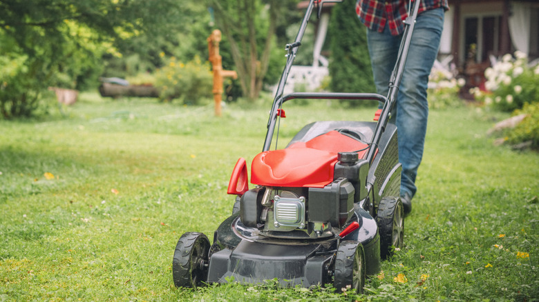 Person in jeans pushing a red and black lawn mower